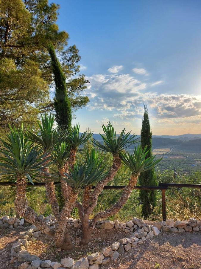 B&B Villa Maria Ester Vieste Esterno foto